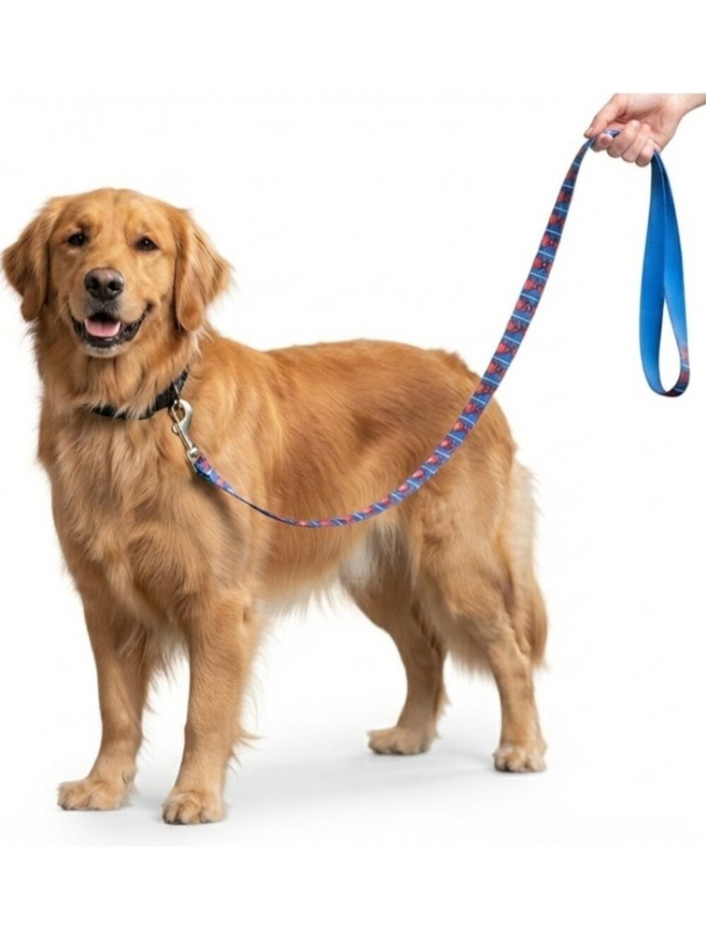 Best Brands Marvel Spider-Man 43in Long x .75in Wide Dog Leash With Metal Clip